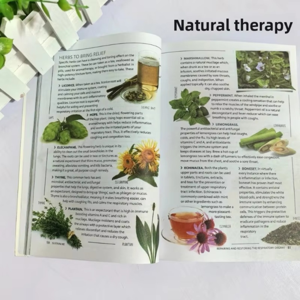 Pomóż mi przetrwać, Barbaro O’ – Holistic Health & Wellness recenzja i cena